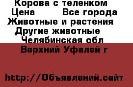 Корова с теленком › Цена ­ 69 - Все города Животные и растения » Другие животные   . Челябинская обл.,Верхний Уфалей г.